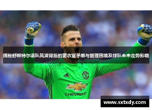 揭秘舒斯特尔退队风波背后的更衣室矛盾与管理困境及球队未来走势影响